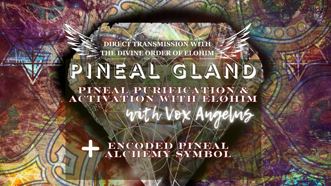 THE PINEAL GLAND "THE EYE OF GOD"